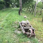 Feriehus Koefal Pince Raposka