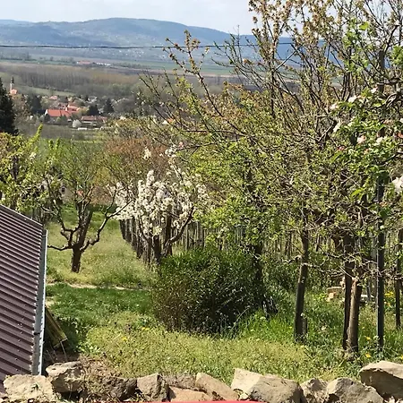 Koefal Pince Nyaraló