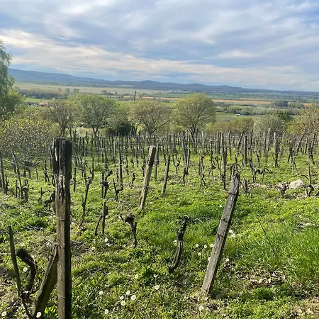 Koefal Pince Hébergement de vacances