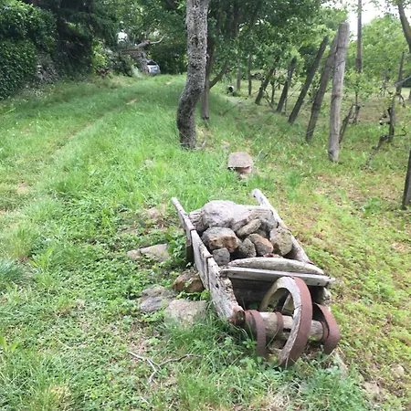 Nyaraló Koefal Pince Raposka