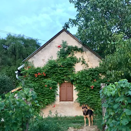 Koefal Pince Feriehus Raposka