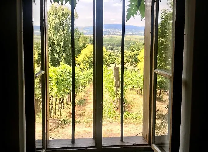 Koefal Pince Nyaraló *