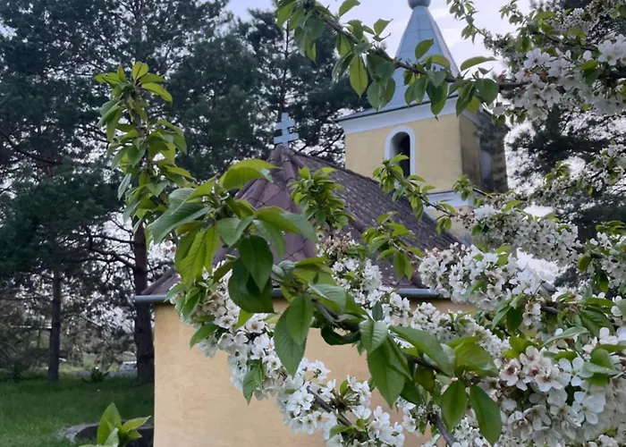 Nyaraló Koefal Pince