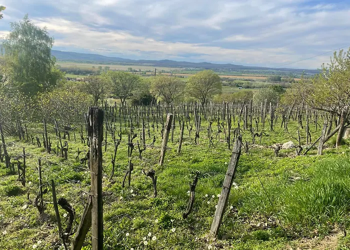 Koefal Pince Nyaraló