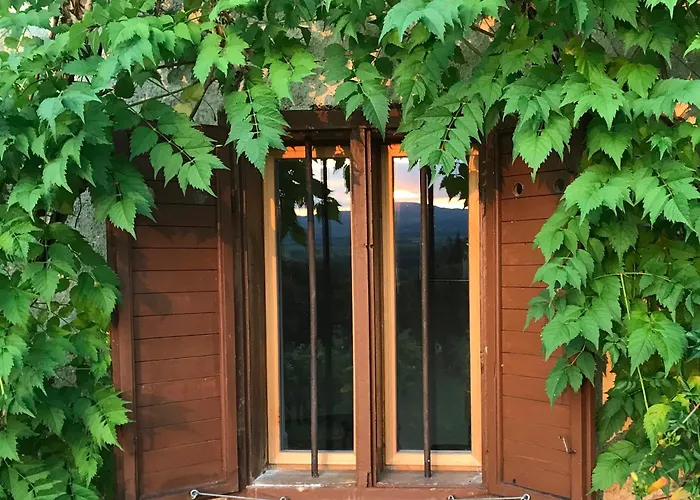 Nyaraló Koefal Pince *