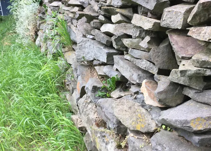 Koefal Pince Nyaraló Raposka