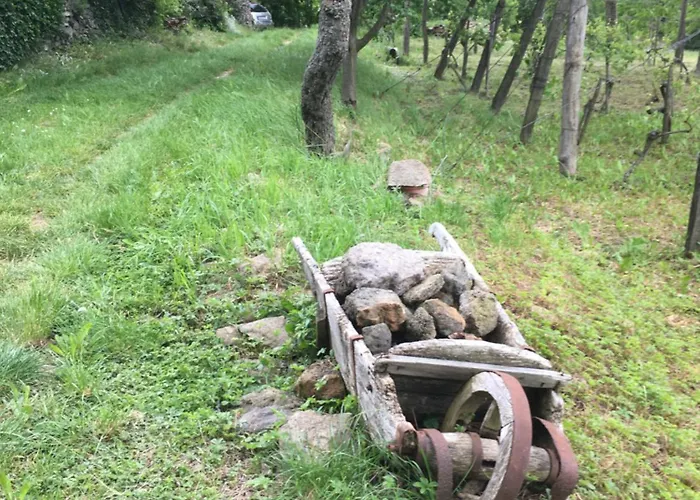 Nyaraló Koefal Pince Raposka